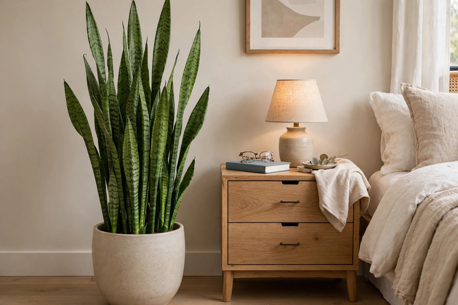 Tall snake plant with upright green leaves in a ceramic pot beside a bedroom nightstand