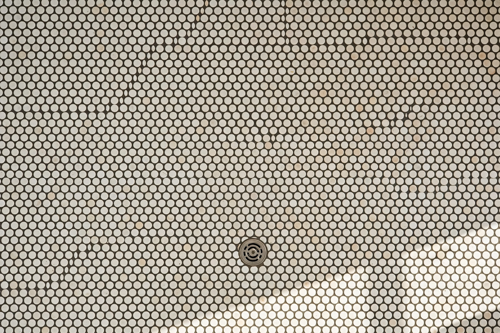 Penny round mosaic bathroom floor with contrasting dark grout